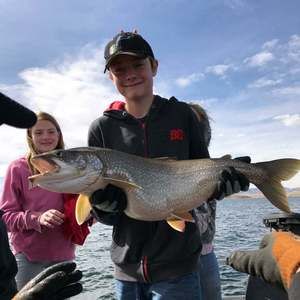 Meet your Posher, Riley